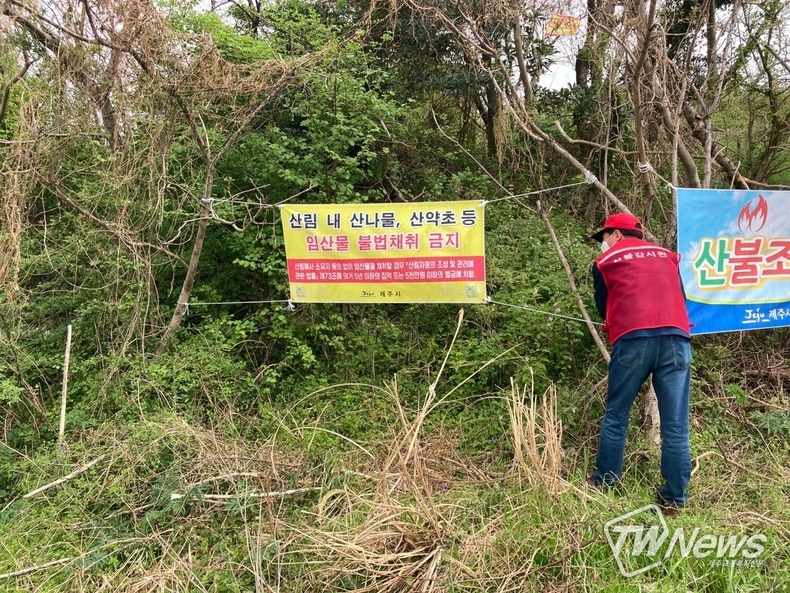 (사진=제주시 제공)