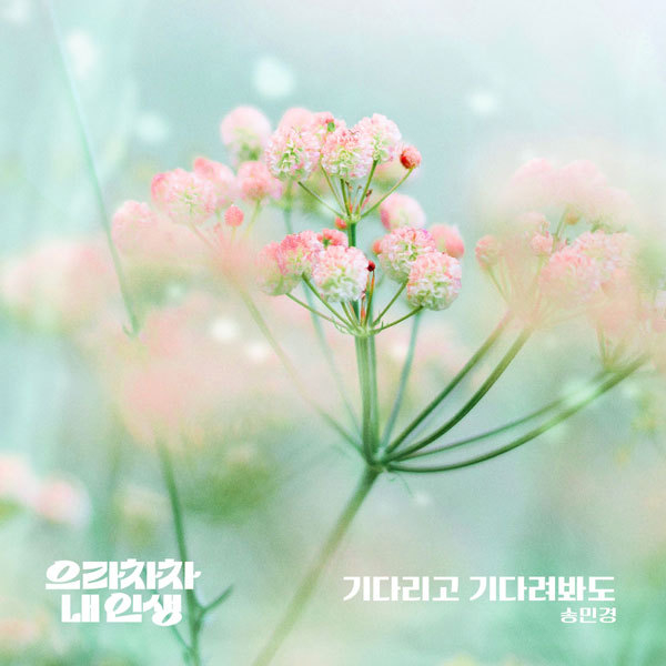 사진=요구르트 스튜디오 제공