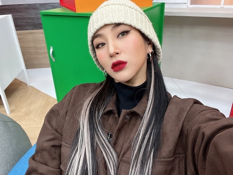 사진=자이언트핑크 인스타그램
