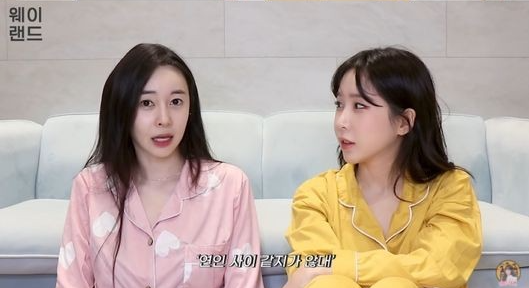 (사진=유튜브 '웨이랜드' 방송 화면 갈무리)