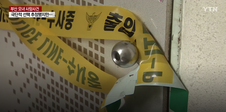 (사진=YTN 뉴스 화면 갈무리)