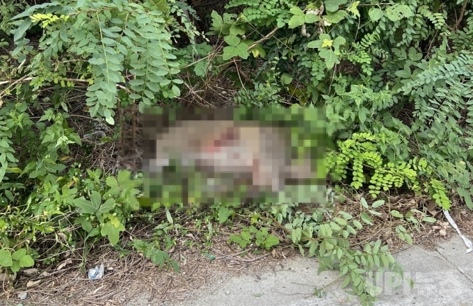 (사진=부산경찰청 제공)