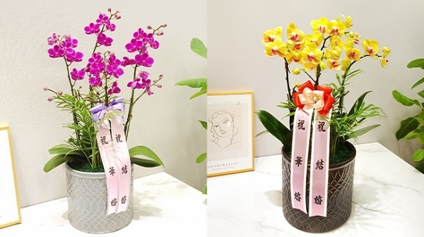 (사진=고인범꽃배달 제공)