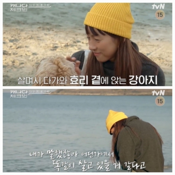 (사진=tvN '캐나다 체크인' 예고편 영상 갈무리)