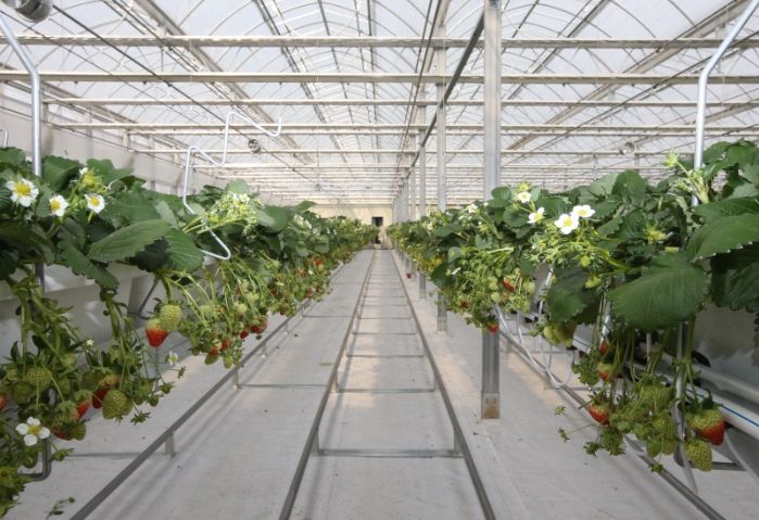 청주시, 저탄소·스마트 농업으로 '미래농업 시대' 연다