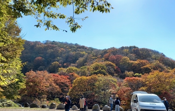 [TW포토] '울긋불긋' 단풍 절정…한라산 둘레길 천아숲길