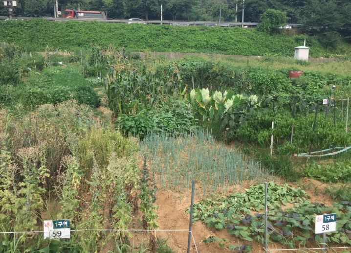 구로구, 주말농장 분양 구로구, 주말농장 분양
