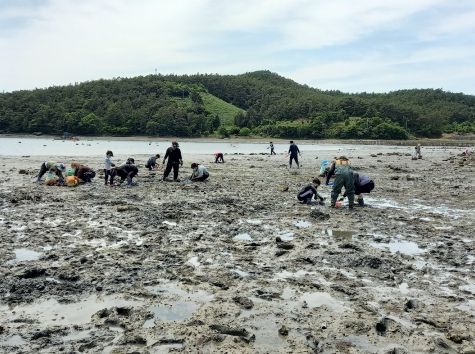 경남 고성군, 갯벌 체험 생태관광 프로그램 운영