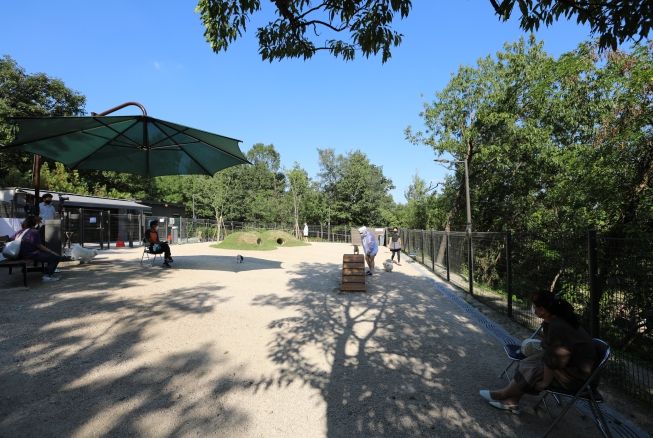 강북구 북서울꿈의 숲 내 반려견 놀이터 전경