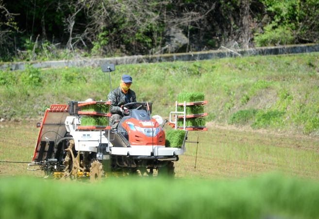 3일 화천군 하남면 논미리 고령 농업인의 농지에서 올해 첫 모이앙 대행 작업이 시작됐다.