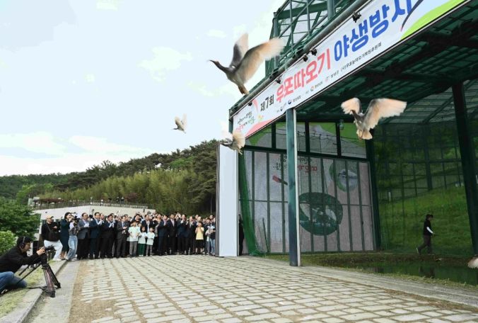 우포따오기 야생방사 행사