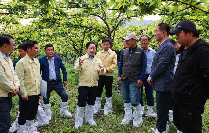 주광덕 남양주시장, 저온 피해 배 농가 격려 방문