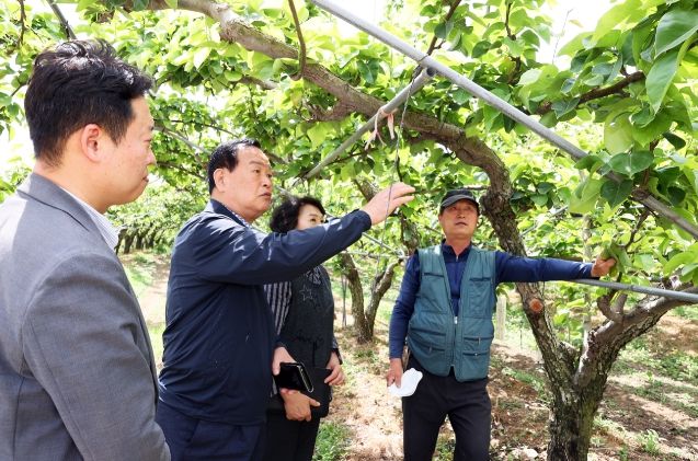 유성구의회 송봉식 의장, 이상기온 냉해 피해 배 농가 현장 점검