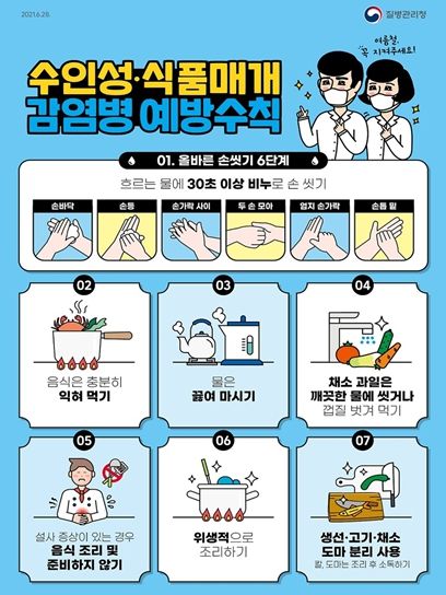 수인성·식품매개감염병 예방수칙