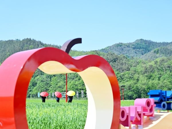 초록의 향연‘산소카페 청송정원’