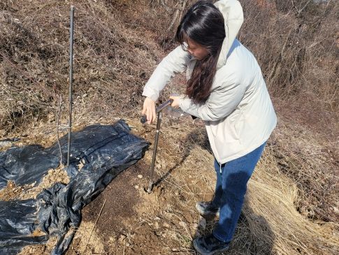 공익직불제 화학비료 이행점검을 위한 토양시료 채취를 하는 모습