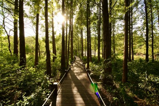 물향기수목원 내부(습지생태원)모습