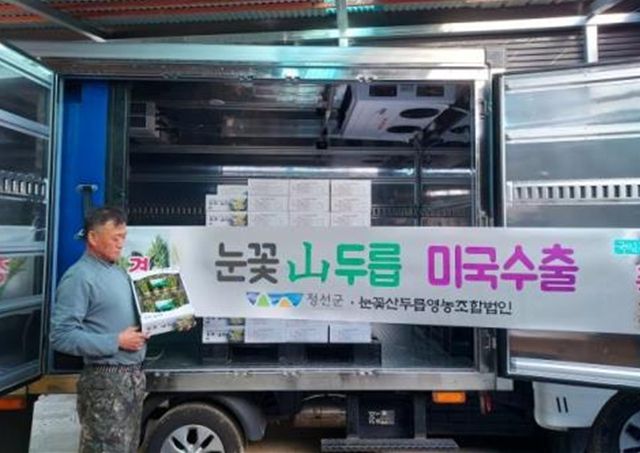 눈꽃산두릅 미국 첫 수출