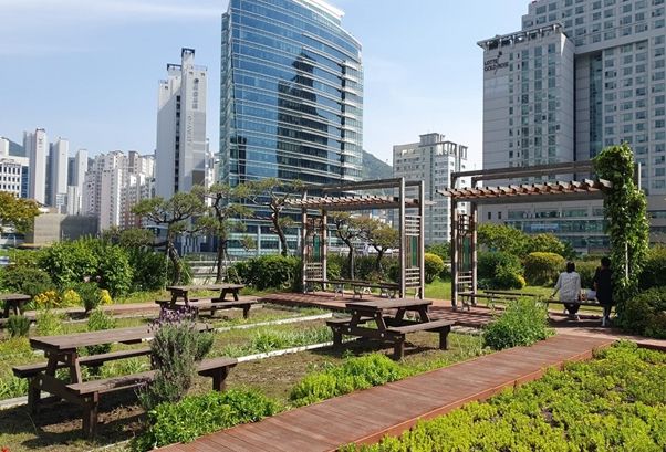 부산시청 옥상정원