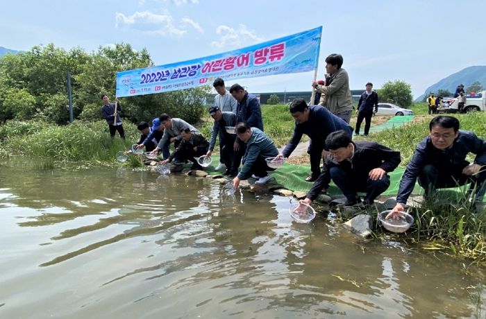 황어 방류 행사