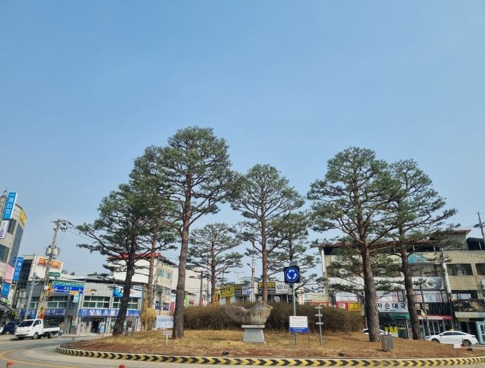 '여주시 수목 관리시스템 구축용역' 착수