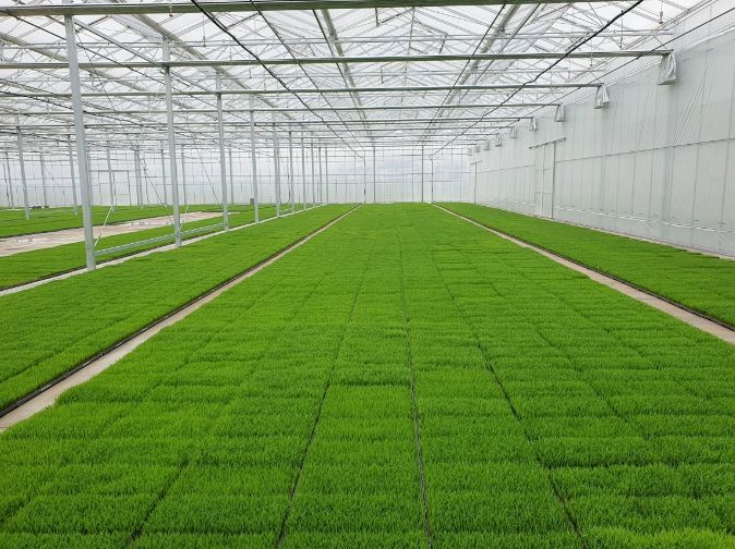 여주시 강천면 기상이변 대비 적기 모내기 적극 홍보