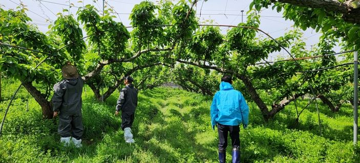 예찰 활동 모습