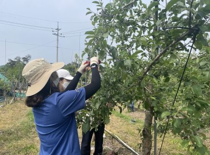 청주시 도농이 어우러진 상생발전도시 조성을 위한 농촌 봉사활동 실시