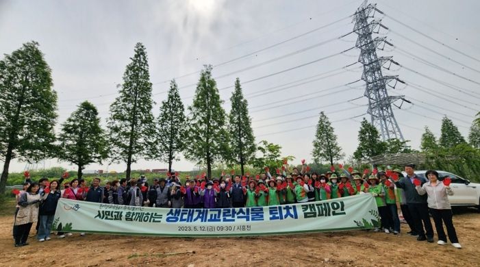 시흥시 환경도시로 나아가는 한걸음, 생태계 교란식물 퇴치 캠페인 전개