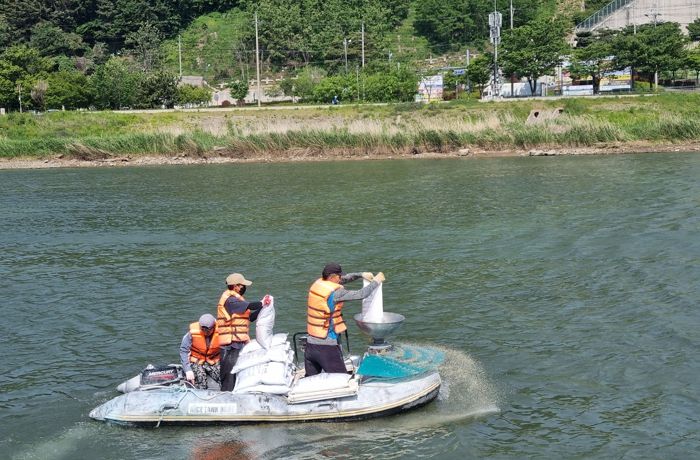 양산천과 화제천에 저질개선제 살포