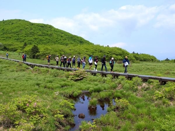 인제 대암산 용늪, 5월 16일부터 생태탐방 재개
