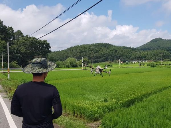 2022년도 농업용 드론 벼 병해충 항공방제 모습