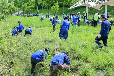 해운대구, 수영강변 일대 환경정비 및 생태교란 식물 제거 작업 추진