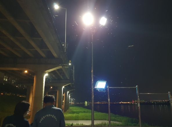 남양주시 와부읍, 동양하루살이 예찰 및 방제 활동