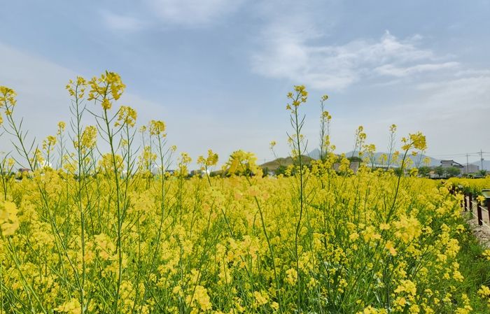 고성군, 2024년도 경관보전직불제 사업 추진