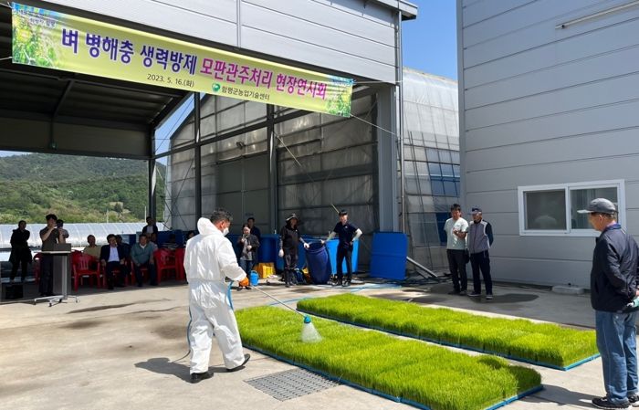 모판관주처리 현장연시회 장면