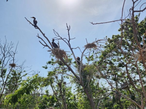 민·관 합동조사반이 축만제 인공섬의 생태환경을 조사하고 있다.