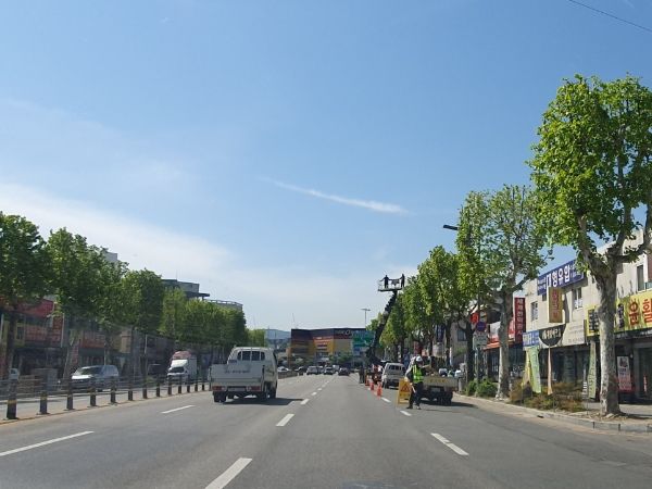 대전 대덕구가 민원 해소 및 특색있는 가로 경관 조성을 위해 가로수 정비에 나섰다. 사진은 가로경관이 정비된 오정동 한남오거리 일원.