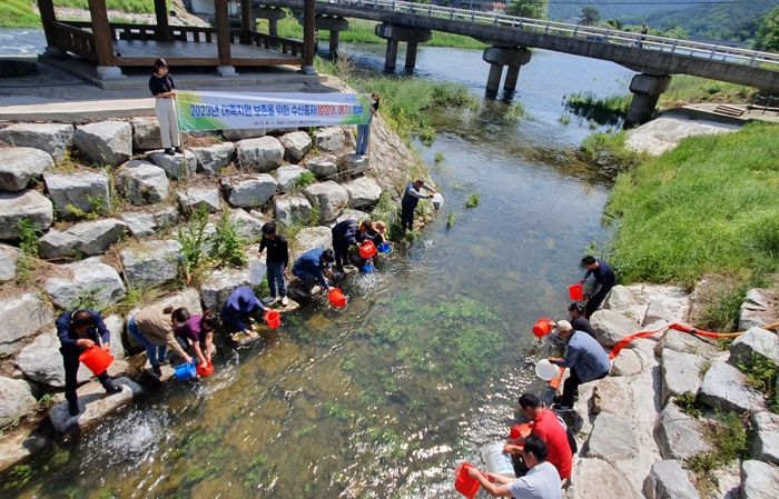 정읍시, 뱀장어ㆍ메기 치어 동진천에 방류