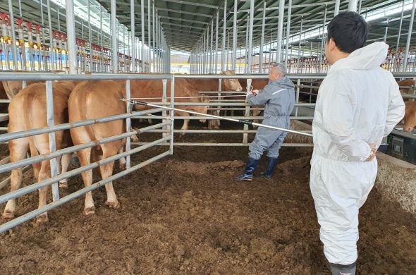 구제역 남하를 막아라