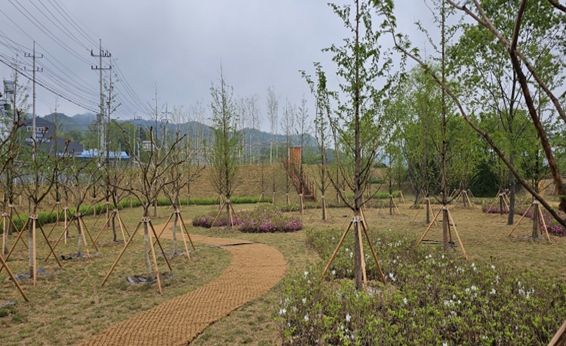 미세먼지차단숲(의성군 비안면)