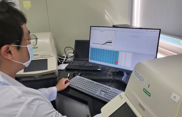 가축질병 PCR정밀검사