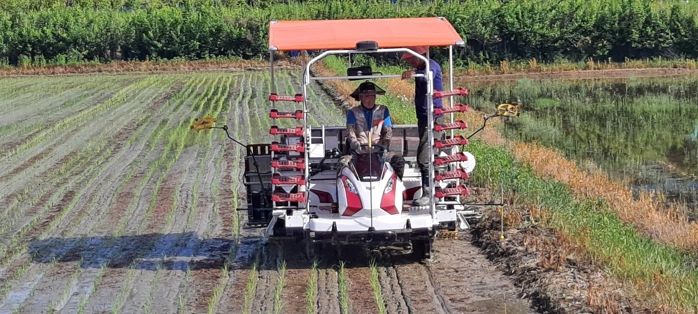 밀묘 소식재배 전용 이앙기