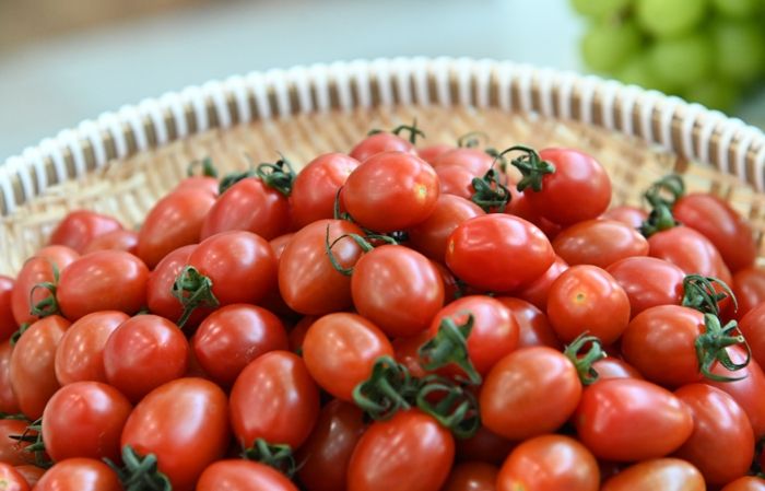 부여 방울토마토