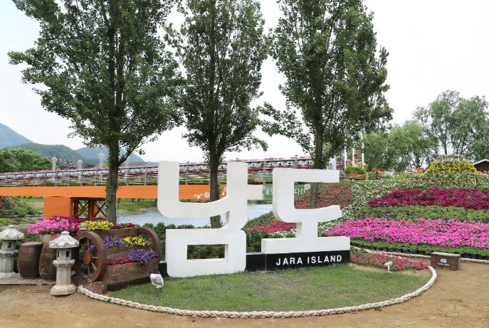 가평군 자라섬 꽃 축제, 한 주간 무료개방