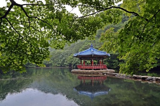 떠나자 내장산으로...정읍시 푸른 단풍 벗 삼아 온갖 시름 훌훌 털어 버리라!