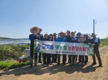 영천 금호읍, 정성을 모아 농촌일손돕기 나서