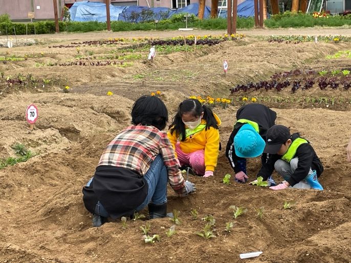노인, 어린이 위한 시흥시 사회적 도시농업 지원...건강 증진 꾀해