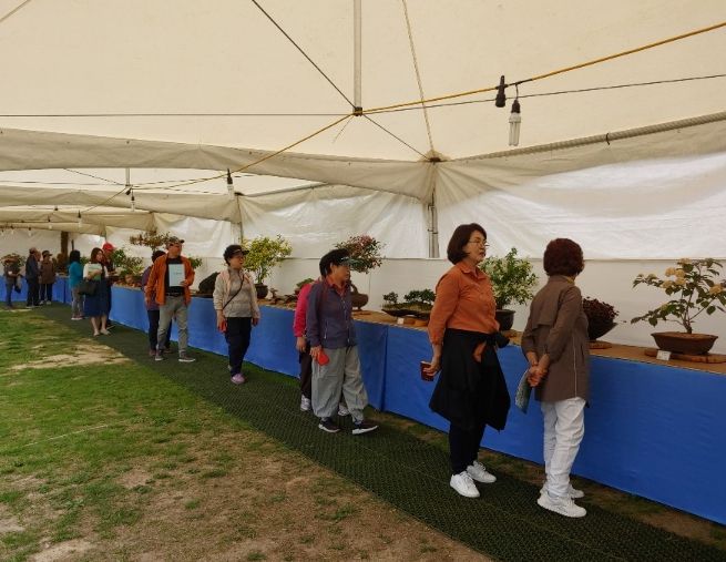 보은군 속리산들꽃사랑회, 야생화 전시회 개최