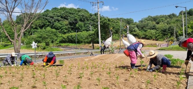 연천군 중면, 합수교 교량 꽃길 및 도로변 화단 조성